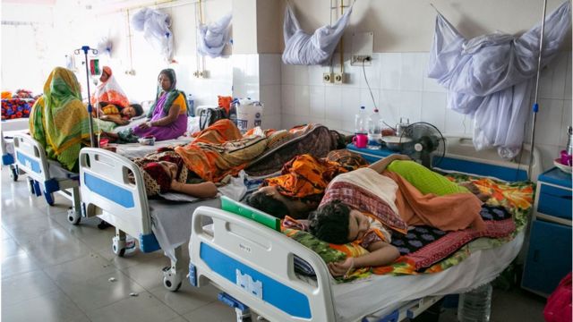 ডেঙ্গু জ্বর নিয়ন্ত্রণের ঘরোয়া ৫ উপায় জেনে রাখুন