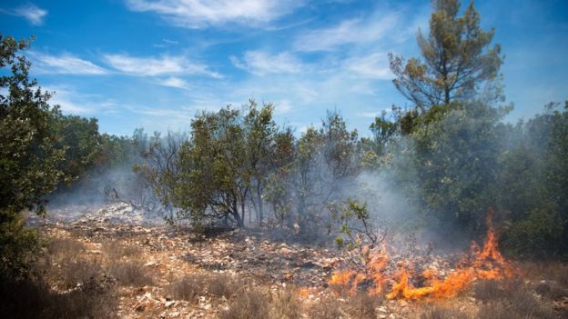Extreme weather 'could kill up to 152,000 a year' in Europe by 2100